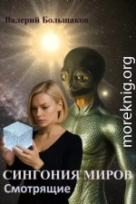 Сингония миров. Смотрящие