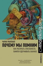 Почему мы помним. Как раскрыть способность памяти удерживать важное