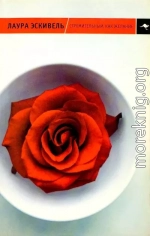 Стремительный, как желание