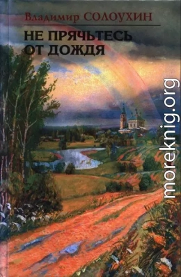 Не прячьтесь от дождя