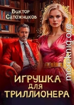 Игрушка для триллионера