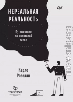 Нереальная реальность. Путешествие по квантовой петле