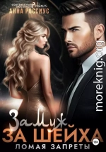 Замуж за шейха. Ломая запреты