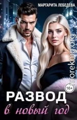 Развод в новый год