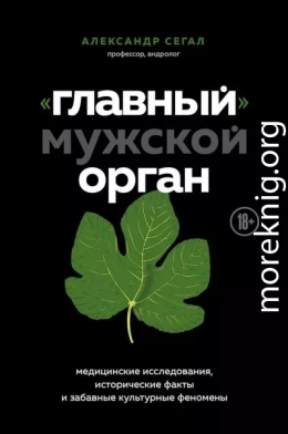 «Главный» мужской орган. Медицинские исследования, исторические факты и забавные культурные феномены