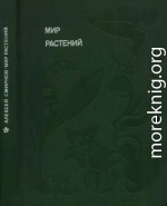 Мир растений: Рассказы о кофе, лилиях, пшенице и пальмах