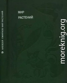 Мир растений: Рассказы о кофе, лилиях, пшенице и пальмах