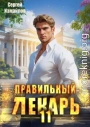 Правильный лекарь. Том 11
