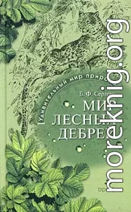 Мир лесных дебрей