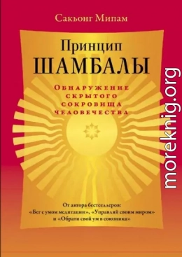 Принцип Шамбалы. Обнаружение скрытого сокровища человечества