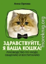 Здравствуйте, я ваша кошка! Руководство по уходу, общению и воспитанию