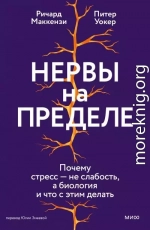 Нервы на пределе. Почему стресс — не слабость, а биология и что с этим делать