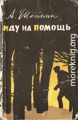 Иду на помощь (рассказы о милиции)