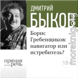 Борис Гребенщиков: навигатор или истребитель?