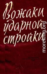 Вожаки ударной стройки