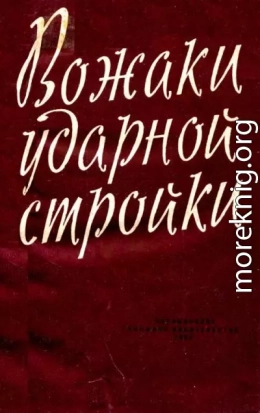 Вожаки ударной стройки