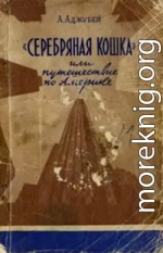 «Серебряная кошка», или Путешествие по Америке