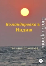 Командировка в Индию