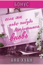 Если мы когда-нибудь встретимся вновь. Бонус