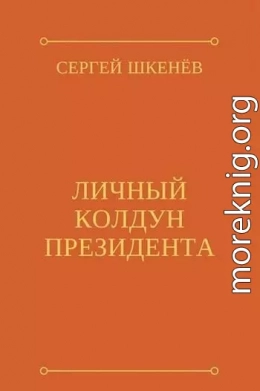 Личный колдун президента (СИ)