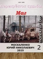 Перекресток судьбы 2. Маг. Книга вторая