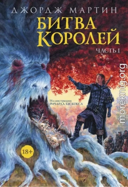 Битва королей. Книга I