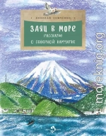 Заяц в море. Рассказы о Северной Камчатке