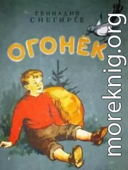 Огонек