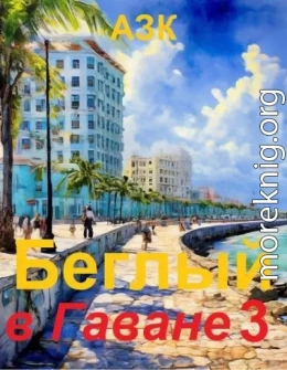 Беглый в Гаване 3