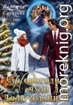 Новогоднее чудо для Долгожданной