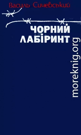 Чорний лабіринт. Книга третя