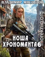 Ноша хрономанта 6