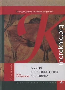 Кухня первобытного человека. Как еда сделала человека разумным 