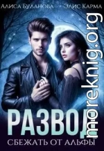 Развод. Сбежать от альфы