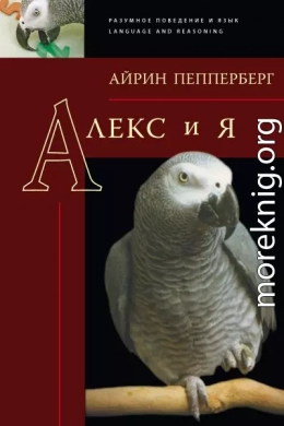 Алекс и я