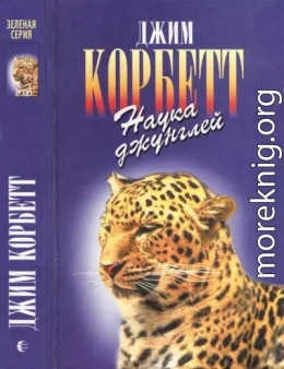 Моя Индия. Наука джунглей. Храмовый тигр