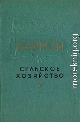 Сельское хозяйство