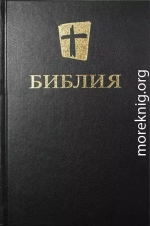 Библия. Новый русский перевод (Biblica)