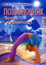 Позвоночник. Мифы и реальность