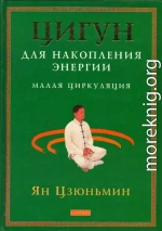 Цигун для накопления энергии. Малая Циркуляция