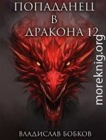 Попаданец в Дракона 12
