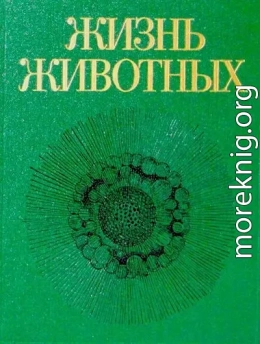 Жизнь животных. Том первый. Простейшие, кишечнополостные, черви