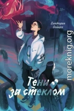 Тени за стеклом