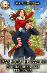 Развода не будет! Мандаринка для генерала