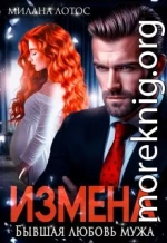 Измена. Бывшая любовь мужа