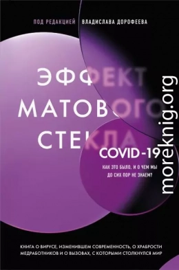 Эффект матового стекла. Книга о вирусе, изменившем современность, о храбрости медработников, и о вызовах, с которыми столкнулся мир