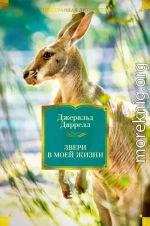 Звери в моей жизни. Путь кенгуренка. Поймайте мне колобуса. Поместье-зверинец