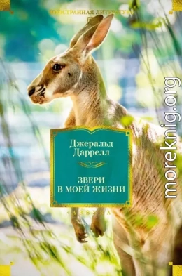 Звери в моей жизни. Путь кенгуренка. Поймайте мне колобуса. Поместье-зверинец