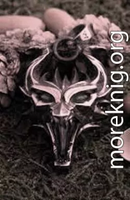 Ведьмак. Потерянный сын. Книга 1