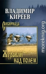 Журавли над полем